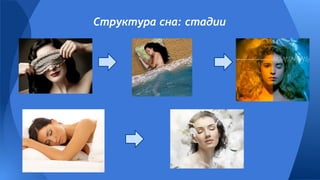 Структура сна: стадии
 