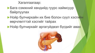 нойр булчирхай | PPT