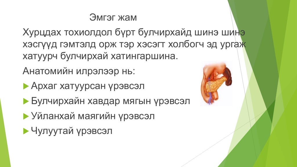 нойр булчирхай