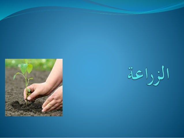 درس الزراعة للصف الثامن الجغرافيا