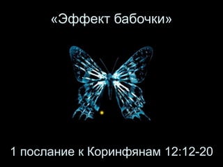 «Эффект бабочки»
1 послание к Коринфянам 12:12-20
 