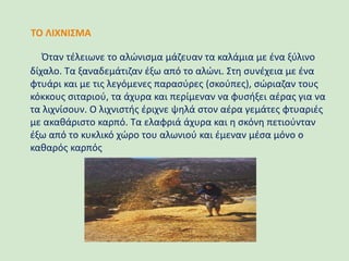 Όταν τέλειωνε το αλώνισμα μάζευαν τα καλάμια με ένα ξύλινο
δίχαλο. Τα ξαναδεμάτιζαν έξω από το αλώνι. Στη συνέχεια με ένα
φτυάρι και με τις λεγόμενες παρασύρες (σκούπες), σώριαζαν τους
κόκκους σιταριού, τα άχυρα και περίμεναν να φυσήξει αέρας για να
τα λιχνίσουν. Ο λιχνιστής έριχνε ψηλά στον αέρα γεμάτες φτυαριές
με ακαθάριστο καρπό. Τα ελαφριά άχυρα και η σκόνη πετιούνταν
έξω από το κυκλικό χώρο του αλωνιού και έμεναν μέσα μόνο ο
καθαρός καρπός
ΤΟ ΛΙΧΝΙΣΜΑ
 