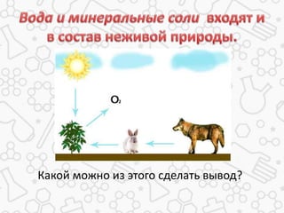 Какой можно из этого сделать вывод?
 