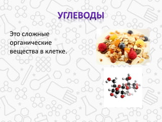 Это сложные
органические
вещества в клетке.
 