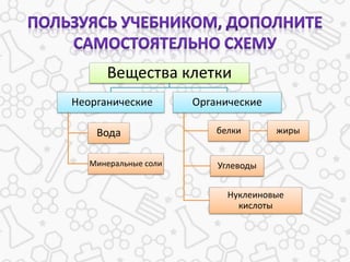 Вещества клетки
Неорганические
Вода
Минеральные соли
Органические
жирыбелки
Углеводы
Нуклеиновые
кислоты
 