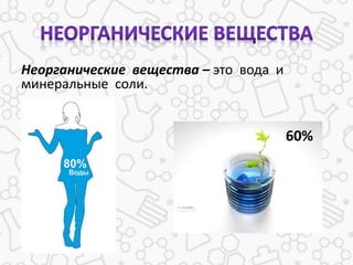 Неорганические вещества – это вода и
минеральные соли.
60%
 