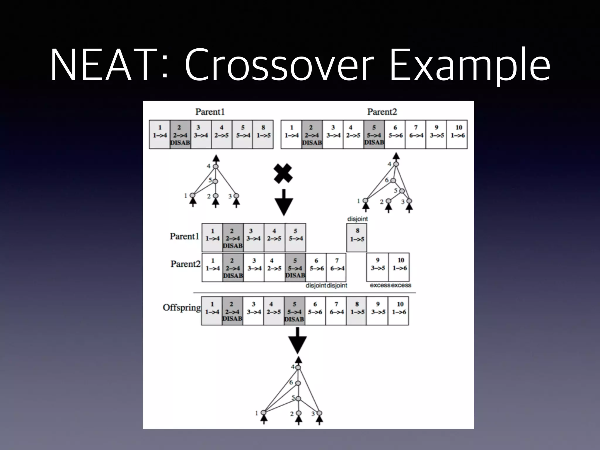 NEAT: Crossover Example
 