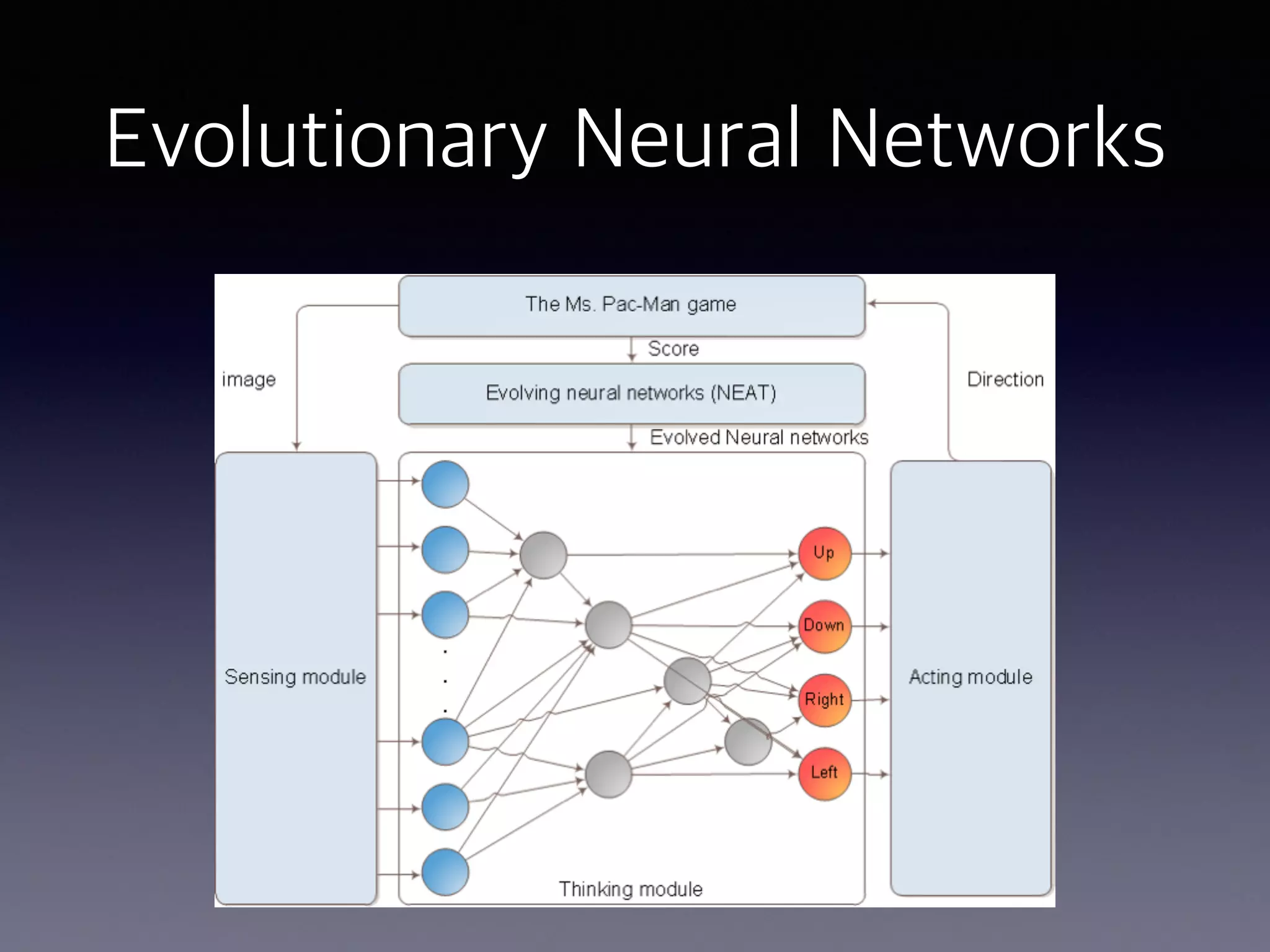 Evolutionary Neural Networks
 