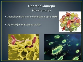 • Једноћелијски или колонијални организми
• Аутотрофи или хетеротрофи
 