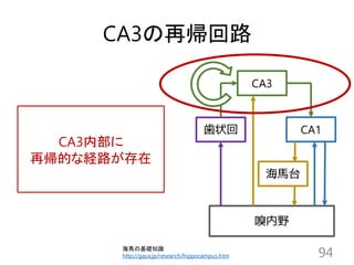 CA3の再帰回路
94
CA3内部に
再帰的な経路が存在
海馬の基礎知識
http://gaya.jp/research/hippocampus.htm
 