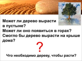 Может ли дерево вырасти
в пустыне?
Может ли оно появиться в горах?
Смогло бы дерево вырасти на крыше
дома?
?Что необходимо дереву, чтобы расти?
 
