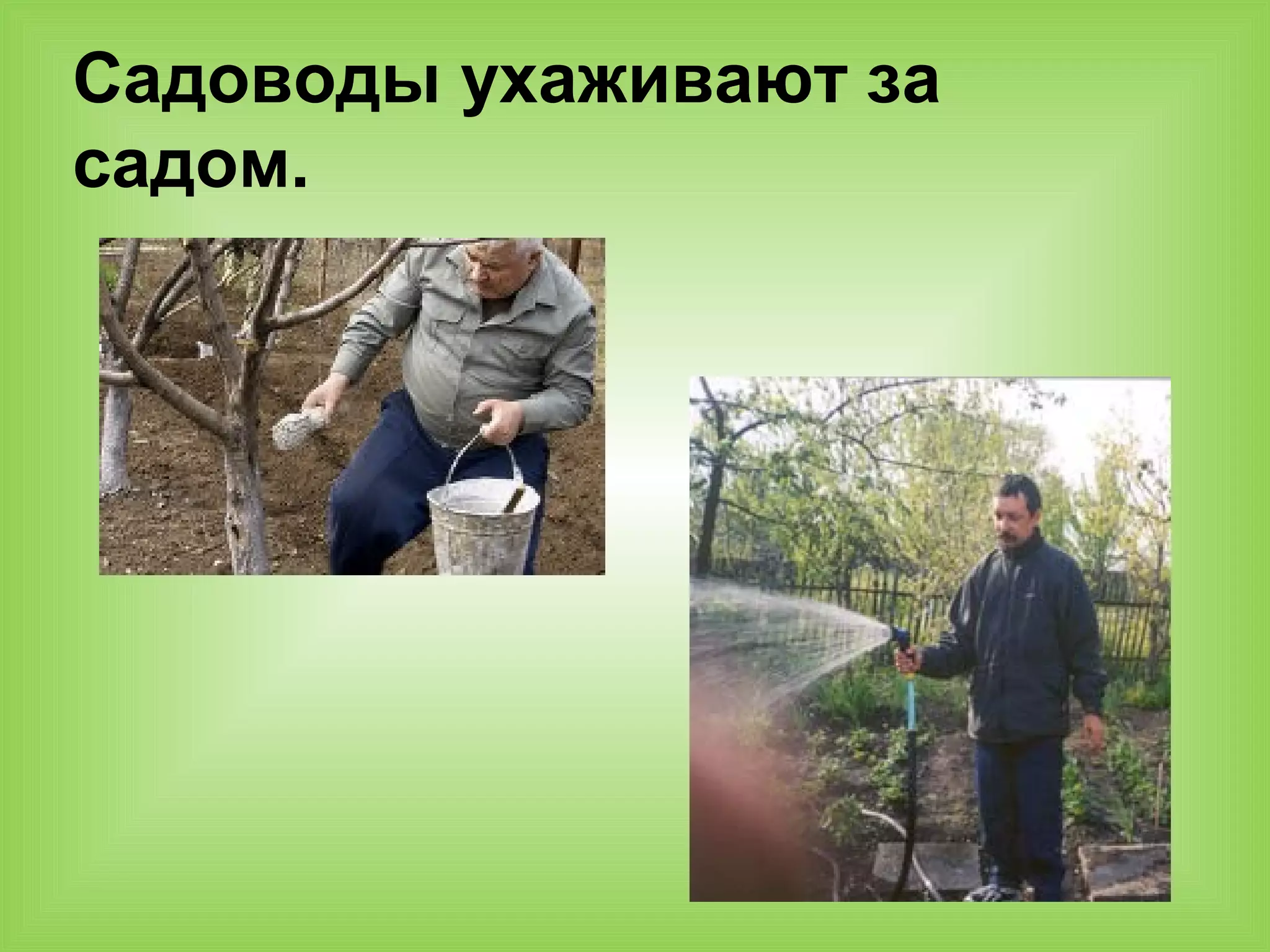 Садоводы ухаживают за
садом.
 