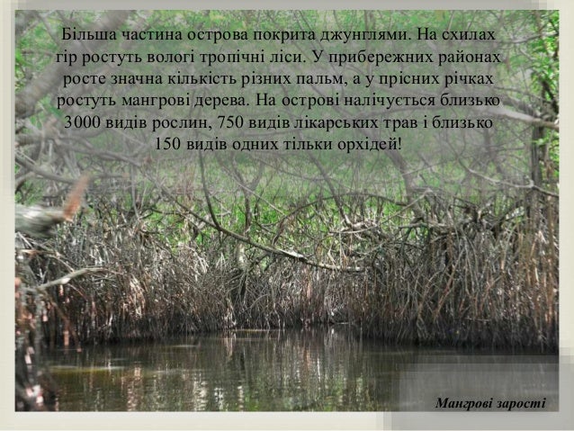 
Мангрові зарості
Більша частина острова покрита джунглями. На схилах
гір ростуть вологі тропічні ліси. У прибережних рай...