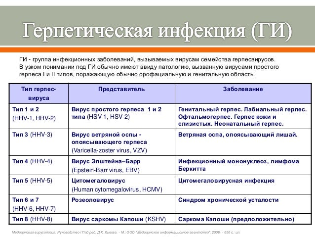 Вирус Герпеса Презентация - coinsprogrammy