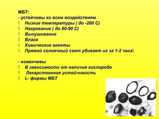МБТ:
- устойчивы ко всем воздействиям
 Низкие температуры ( до -260 С)
 Нагревание ( до 80-90 С)
 Высушивание
 Влага
 Химические агенты
 Прямой солнечный свет убивает их за 1-2 часа
- изменчивы
 В зависимости от наличия кислорода
 Лекарственная устойчивость
 L- формы МБТ
 