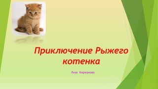 Приключение Рыжего
котенка
Лиза Киржанова
 