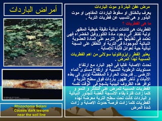 ‫الباردات‬ ‫أرمراض‬‫الباردات‬ ‫أرمراض‬ ‫الباردات‬ ‫موت‬ ‫و‬ ‫البذرة‬ ‫عفن‬ ‫مرض‬
‫موت‬ ‫او‬ ‫المفاجئ‬ ‫الباردات‬ ‫سقوط‬ ‫او‬ ‫بالخناق‬ ‫يعرف‬
. ‫التربة‬ ‫فطريات‬ ‫عن‬ ‫تتسبب‬ ‫هى‬ ‫و‬ ‫البذور‬
‫؟‬ ‫الفطريات‬ ‫هى‬ ‫ما‬
‫المظهر‬ ‫خيطية‬ ‫دقيقة‬ ‫نباتية‬ ‫كائنات‬ ‫هى‬ ‫الفطريات‬
‫فهى‬ ‫الخضراء‬ ‫الكلوروفيل‬ ‫مادة‬ ‫وجود‬ ‫الى‬ ‫تفتقر‬ ‫اولية‬
‫العضوية‬ ‫المادة‬ ‫على‬ ‫الترمم‬ ‫على‬ ‫تغذيتها‬ ‫فى‬ ‫تعتمد‬
‫انسجة‬ ‫على‬ ‫التطفل‬ ‫او‬ ‫التربة‬ ‫فى‬ ‫الموجودة‬ ‫النباتية‬
. ‫للاصابة‬ ‫قابلة‬ ‫لعوائل‬ ‫حية‬ ‫نباتية‬
‫الفطريات‬ ‫اهم‬ ‫من‬ ‫سولنى‬ ‫رايزوكتونيا‬ ‫الفطر‬ ‫يعتبر‬
‫المرض‬ ‫لهذا‬ ‫المسببة‬.
‫ارتفاع‬ ‫مع‬ ‫البارد‬ ‫الجو‬ ‫فى‬ ‫غالبا‬ ‫الاصابة‬ ‫تحدث‬
‫الماء‬ ‫مستوى‬ ‫ارتفاع‬ ‫او‬ ‫النسبية‬ ‫الرطوبة‬ ‫مستويات‬
‫بطء‬ ‫الى‬ ‫تؤدى‬ ‫المخفضة‬ ‫الحرارة‬ ‫فدرجات‬ .. ‫الرضى‬
‫و‬ ‫التربة‬ ‫سطح‬ ‫فوق‬ ‫باردات‬ ‫ظهور‬ ‫تأخر‬ ‫و‬ ‫النبات‬
‫نفسه‬ ‫الوقت‬ ‫فى‬ ‫يشجع‬ ‫البيئية‬ ‫الظروف‬ ‫هذه‬ ‫توافر‬
‫و‬ ‫النمو‬ ‫و‬ ‫التكاثر‬ ‫على‬ ‫للمرض‬ ‫المسببة‬ ‫الفطريات‬
‫النباتية‬ ‫للجذور‬ ‫الغضة‬ ‫النسجة‬ ‫بقاء‬ ‫فترة‬ ‫زادت‬ ‫كلما‬
‫لهذه‬ ‫معرضة‬ ‫التربة‬ ‫سطح‬ ‫تحت‬ ‫كانت‬ ‫الباردات‬ ‫و‬
‫زادت‬ ‫و‬ ‫الاصابة‬ ‫حدوث‬ ‫فراصة‬ ‫زادت‬ ‫كلما‬ ‫الفطريات‬
‫المرض‬ ‫شدة‬Rhizoctonia SolaniRhizoctonia Solani
Causes dark lesionsCauses dark lesions
near the soil linenear the soil line
 