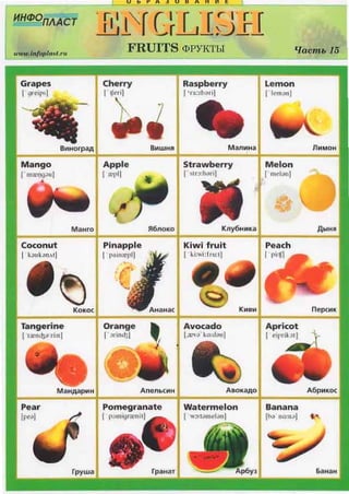 BMHorpaA
Mango
I'm:r(l9••1
MaHro
Coconut
I ~oukonAll
~Ko•oc
Tangerine
I i:cnd,Jo"ri:n)
Pear
(prJ(
u b ~ A J U H A H ~ E
r; I 'frI . r.rr i · r· rrl,l ~r •->:JI _
FRUITS <DPYK'l.'hl
Cherry
I !fcril
•BMWHJl
Apple
r..,.,,1
ll6no•o
Pinapple
I p:1111teplI
Orange
"
r Jrin11l)
'
AnenbCMH
Pomegranate
I 1"'11119rtcnill
Raspberry
I'rn:zboril
M anHHa.
Strawberry
r<lr:>:b.>ril
Kny6H11Ka
Kiwi fruit
I ' ~i:wi:l'ru:tl
Avocado
J,:CY;J. lt1;di'1U)
Watermelon
I w:.1ouadJn(
KMBH
"C/cwmi.15
Lemon
I' k monl
M elon
rmelonJ
AblHft
nepCHK
Apricot
I <iprikJtI
A6pl1KOC
Banana
lhJ no:noJ t.•
 