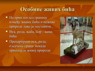 Особине живих бићаОсобине живих бића
 На први поглед границуНа први поглед границу
између живих бића и неживеизмеђу живих бића и неживе
природе лако је поставитиприроде лако је поставити
 Вук, рода, жаба, бор - живаВук, рода, жаба, бор - жива
бићабића
 Препарирани вук, рода,Препарирани вук, рода,
одсечена грана- некадаодсечена грана- некада
припадали живој природиприпадали живој природи
 