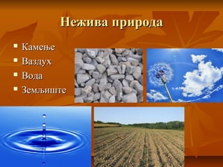 Нежива природаНежива природа
 КамењеКамење
 ВаздухВаздух
 ВодаВода
 ЗемљиштеЗемљиште
 