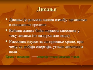 ДисањеДисање
 Дисање је размена гасова између организмаДисање је размена гасова између организма
и спољашње срединеи спољашње средине
 Већина живих бића користи кисеоник уВећина живих бића користи кисеоник у
току дисања (из ваздуха или воде)току дисања (из ваздуха или воде)
 Кисеоник служи за сагоревање хране, приКисеоник служи за сагоревање хране, при
чему се добија енергија, угљен-диоксид ичему се добија енергија, угљен-диоксид и
водавода
Храна + кисеоник енергија+угљен-диоксид + водаХрана + кисеоник енергија+угљен-диоксид + вода
 