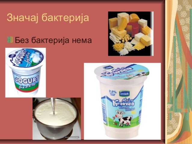 царство монера