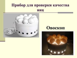Прибор для проверки качества
яиц
Овоскоп
 