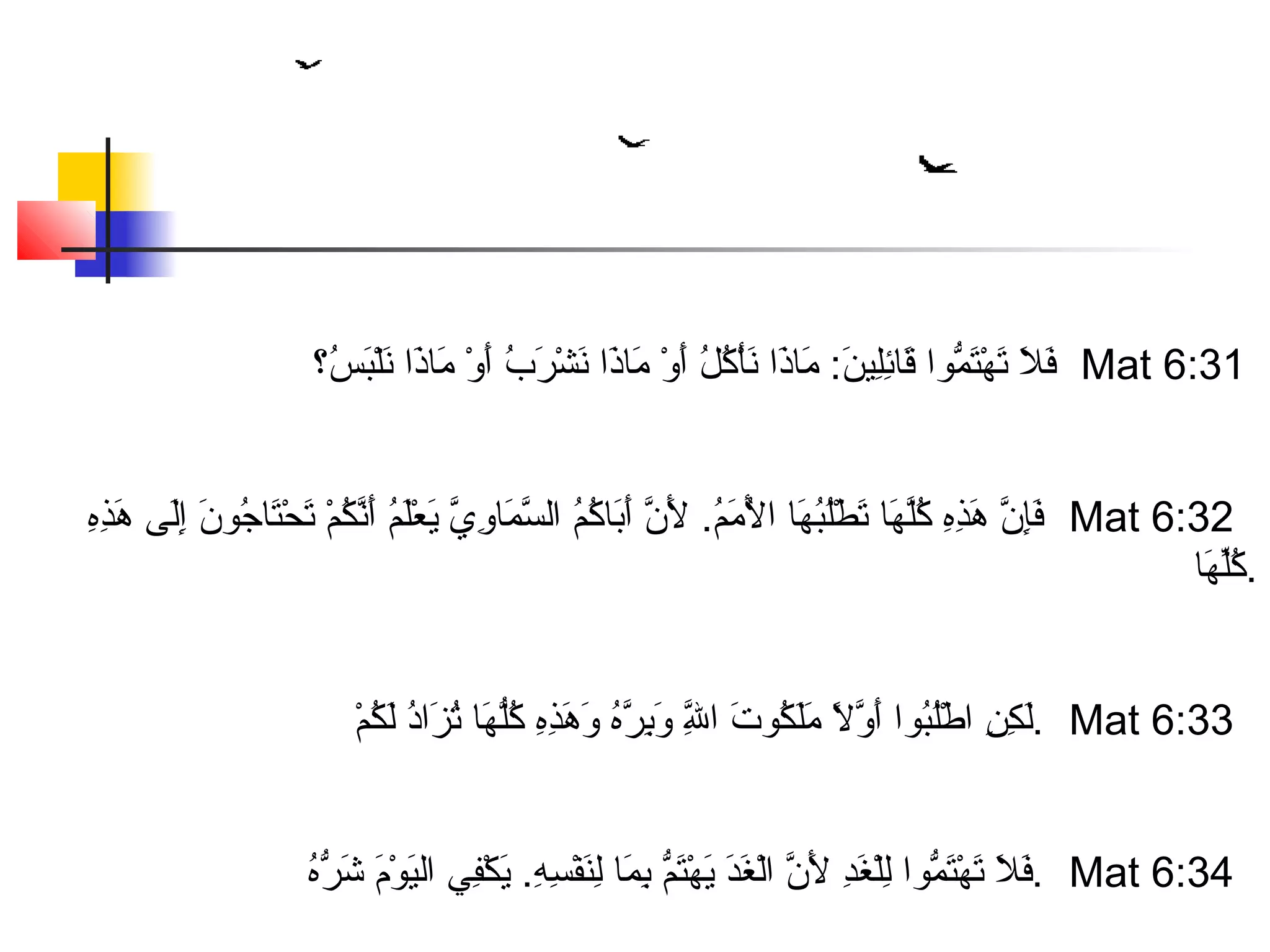 طيور السماء | PPT