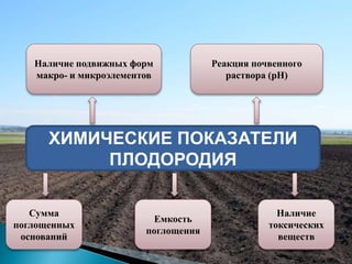 ХИМИЧЕСКИЕ ПОКАЗАТЕЛИ
ПЛОДОРОДИЯ
Наличие подвижных форм
макро- и микроэлементов
Реакция почвенного
раствора (рН)
Сумма
поглощенных
оснований
Емкость
поглощения
Наличие
токсических
веществ
 