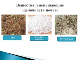 Торф Сульфат
аммония Костная мука
 