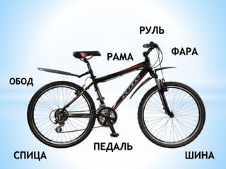 ШИНА
ФАРА
РУЛЬ
СПИЦА
ПЕДАЛЬ
РАМА
ОБОД
 