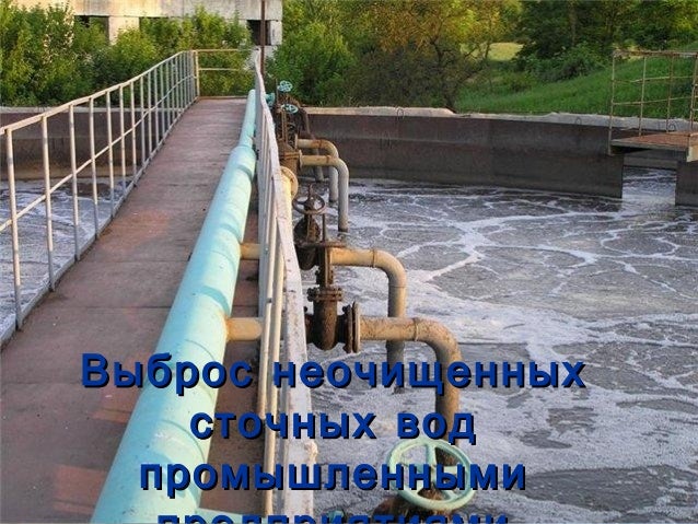 Загрязнение волги фото