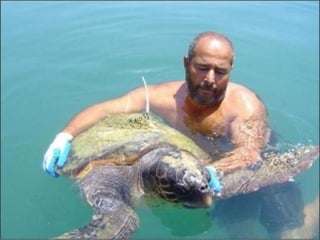 H ζωή στη ζάκυνθο.pdf