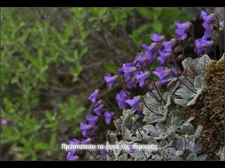 Σκοποί του θαλάσσιου πάρκου Ζακύνθου.pdf