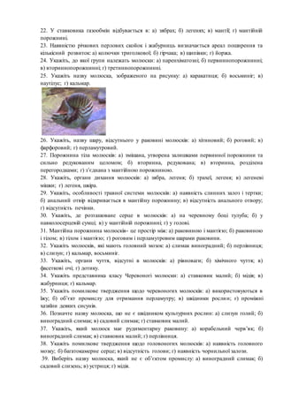 молюски | PDF