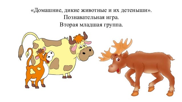 Занятие по развитию речи "Дикие животные наших лесов" #животные Автор... Интерес