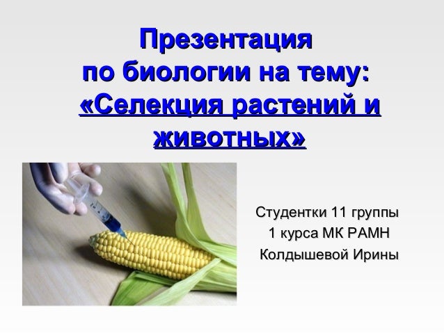 проект по теме селекция. тест по селекции 9 класс. селекция растений и животных тест. селекция растений и животных тест. достижения современной селекции животных.
