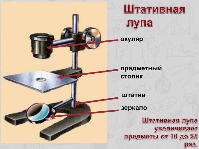 урок биологии 5 класс увеличительные приборы пасечник. урок биологии 5 класс увеличительные приборы пасечник. увеличительные приборы биология презентация. урок биологии 5 класс увеличительные приборы пасечник. урок биологии 5 класс увеличительные приборы пасечник.