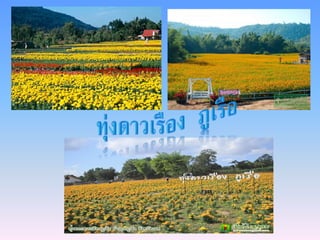 อุทยานแห่งชาติภูเรือ