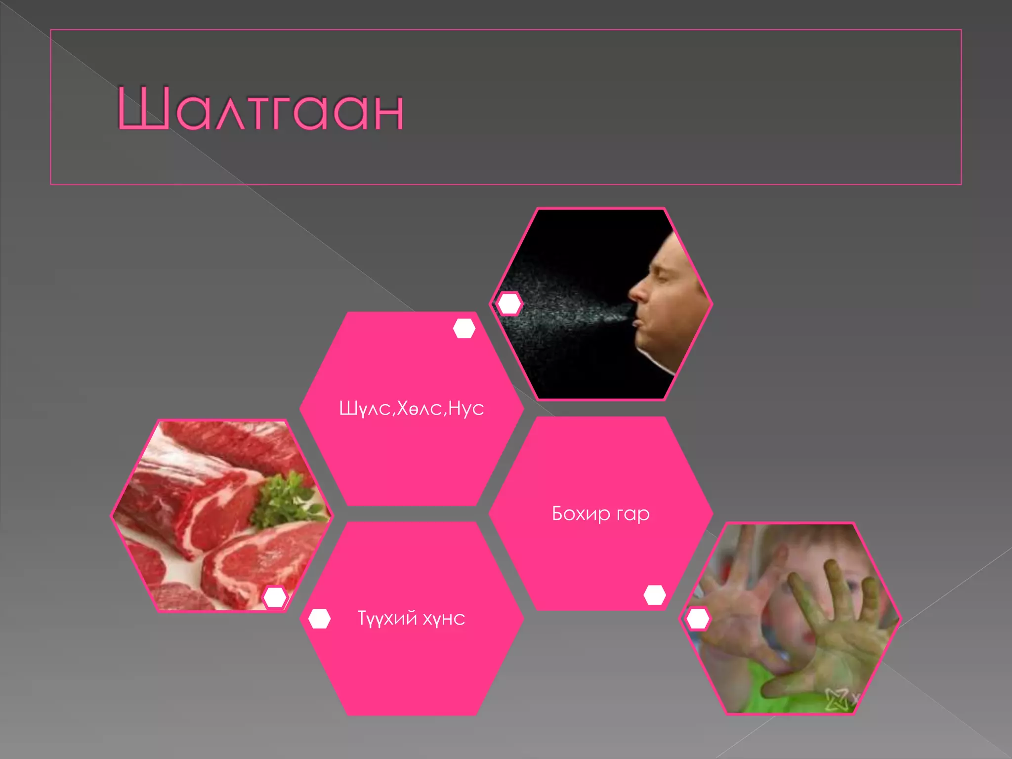 Түүхий хүнс
Бохир гар
Шүлс,Хөлс,Нус
 