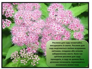 Коли починають щедрувати