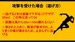ӤȤֱ¤루
NG ΕrߤäOK
xώz10m50mx뤯餤
̤줿ȤˡҺɢ졢
यη䤬ޤ뤿ᡢֹޤ餺

 
