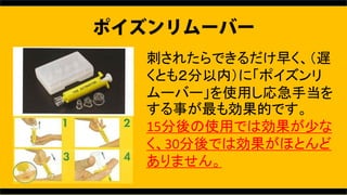 ̤줿Ǥ礯W
Ȥ⣲ڣˡݥ
`Щ`ʹä꼱ֵ
¤ℿĤǤ
15ʹäǤτ٤
30ǤτۤȤ
ޤ
 