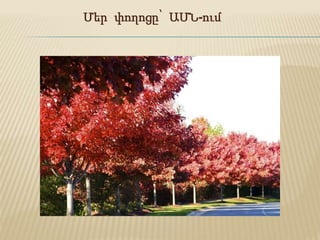 Մեր փողոցը՝ ԱՄՆ-ում
 