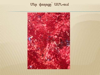 Մեր փողոցը՝ ԱՄՆ-ում
 