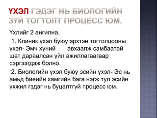онтогенез-нэгэн биеийн хөгжил | PPT