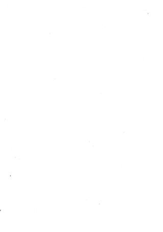 النظرية السياسية عند ابن تيمية