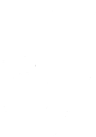 النظرية السياسية عند ابن تيمية