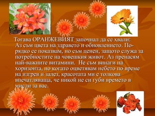 Тогава ОРАНЖЕВИЯТ започнал да се хвали:Тогава ОРАНЖЕВИЯТ започнал да се хвали:
Аз съм цвета на здравето и обновлението. По-Аз съм цвета на здравето и обновлението. По-
рядко се показвам, но съм ценен, защото служа зарядко се показвам, но съм ценен, защото служа за
потребностите на човешкия живот. Аз пренасямпотребностите на човешкия живот. Аз пренасям
най-важните витамини. Не съм винаги нанай-важните витамини. Не съм винаги на
хоризонта, но когато оцветявам небето по времехоризонта, но когато оцветявам небето по време
на изгрев и залез, красотата ми е толкована изгрев и залез, красотата ми е толкова
впечатляваща, че никой не си губи времето ввпечатляваща, че никой не си губи времето в
мисли за васмисли за вас..
 