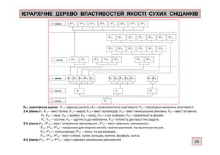 ІЄРАРХІЧНЕ ДЕРЕВО ВЛАСТИВОСТЕЙ ЯКОСТІ СУХИХ СНІДАНКІВІЄРАРХІЧНЕ ДЕРЕВО ВЛАСТИВОСТЕЙ ЯКОСТІ СУХИХ СНІДАНКІВ
Р0 – комплексна оцінка: Р1 – харчова цінність; Р2 – органолептичні властивості; Р3 – структурно-механічні властивості.
2-й рівень Р1: Р11 – вміст білків; Р12 – жирів; Р13 – вміст вуглеводів; Р14 – вміст мінеральних речовин; Р15 – вміст вітамінів.
Р2: Р21 – смак, Р22 – аромат, Р23 – колір, Р24 – стан поверхні, Р25 – правильність форми.
Р3 : Р31 – густина, Р32 – здатність до набухання, Р33 – в’язкість дисперсії екструдату.
3-й рівень Р11 : Р1
11 – вміст незамінних амінокислот ; Р2
11 – вміст замінних амінокислот.
Р12 : Р1
12- Р3
12 – показники для жирних кислот, поліненасичених та насичених кислот.
Р13: Р1
13 – полісахариди; Р2
13 – моно- та дисахаридів .
Р14 : Р1
14- Р6
14 – вміст натрію, калію, кальцію, магнію, фосфору, заліза.
4-й рівень Р1
11 : Р11
11- Р18
11 – вміст окремих незамінних амінокислот.
14
 